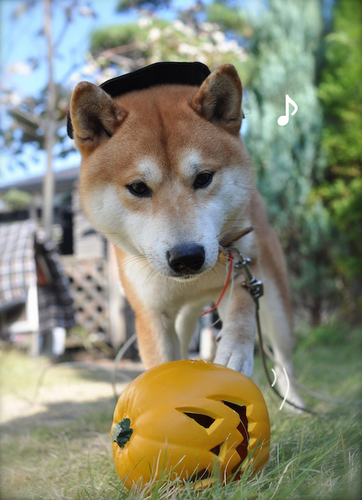 23日ブログ９