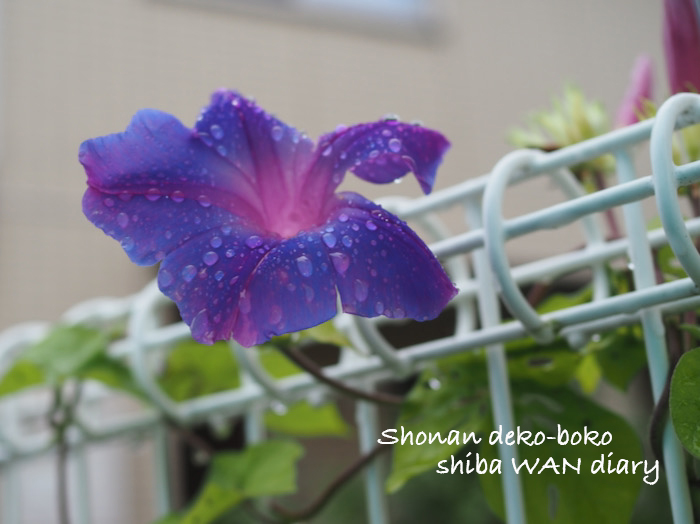 19日ブログ１