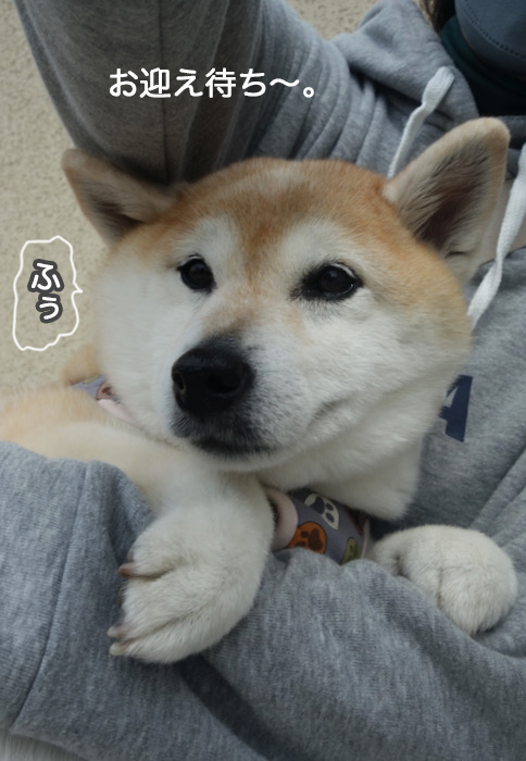 21日夜ブログ７