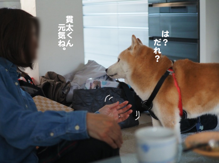 19日の夕ブログ６