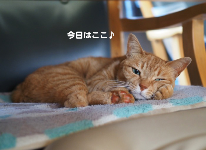 11日ブログ１