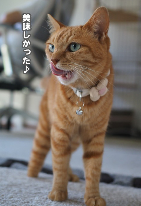 16日夕ブログ６