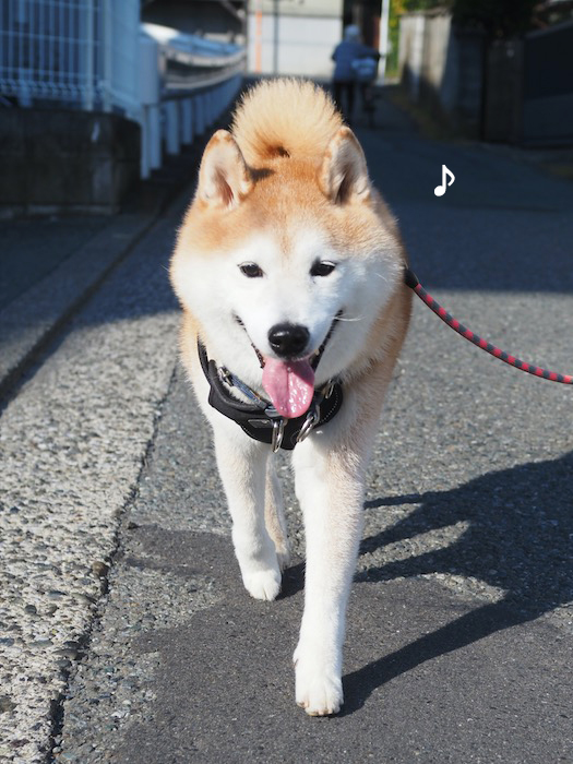 2日夕ブログ４