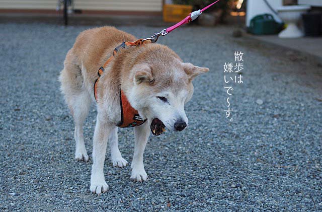 3日ブログ7