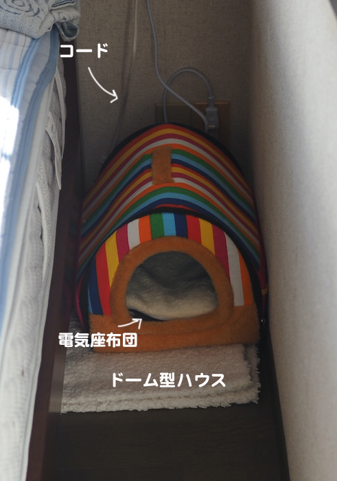 20日夕ブログ４