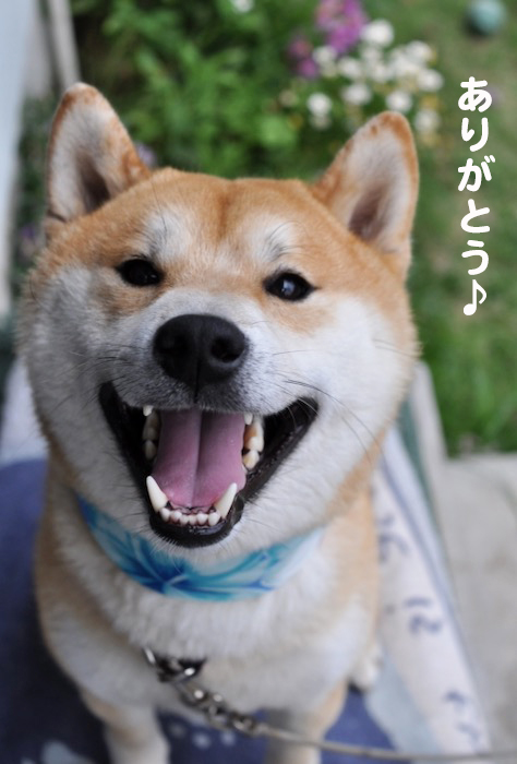 26日ブログ５