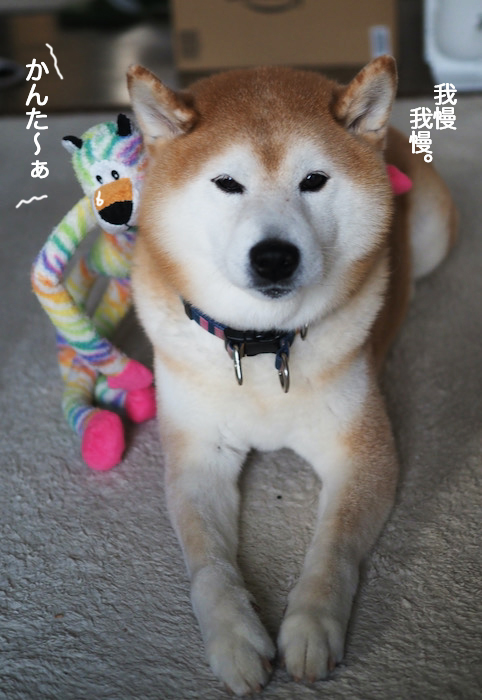 13日夜ブログ８