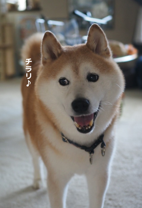 9日ブログ１