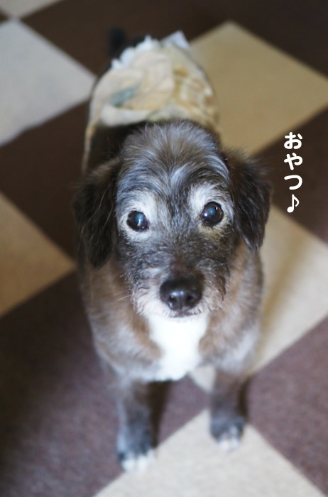 28日夜ブログ5