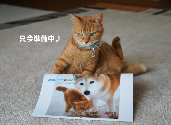 15日夕ブログ６