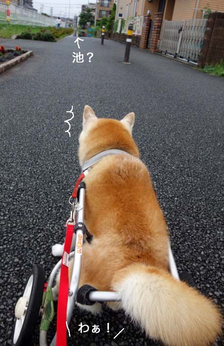 4日夕ブログ２