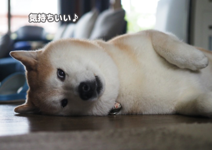 5日ブログ３