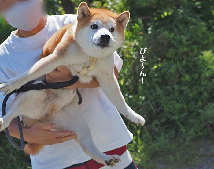 12日ブログ１
