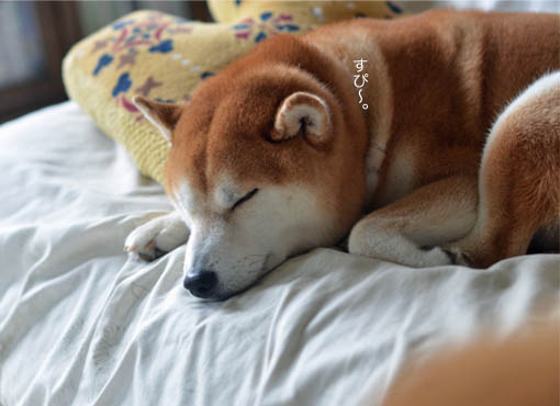 17日ブログ9.jpg