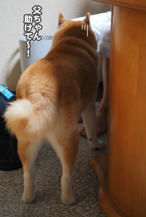 1日午前ブログ４