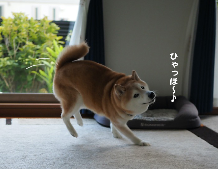 5日夕ブログ３