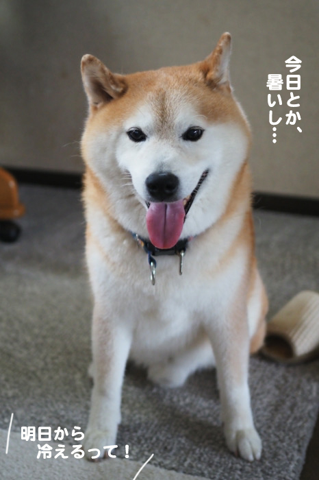 4日夕ブログ７