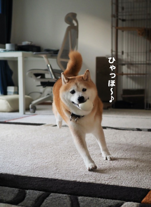 13日夕ブログ７