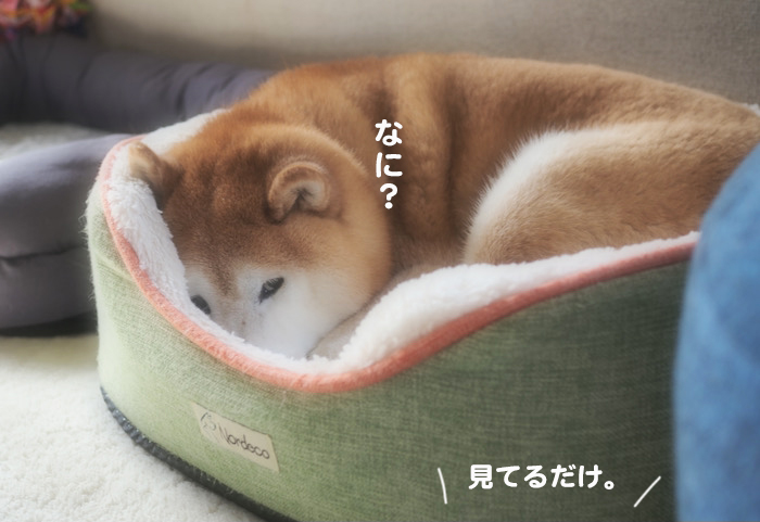 10日ブログ２