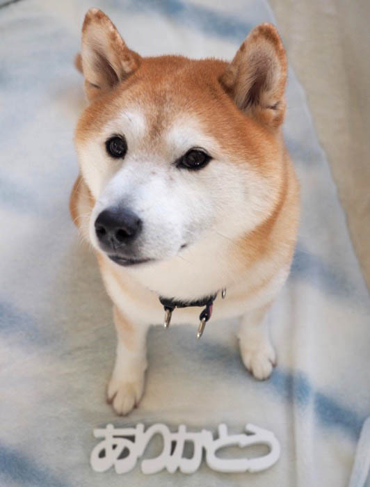 31日夜ブログ２