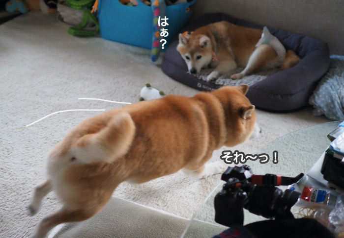 6日夕ブログ５