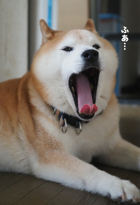7日朝ブログ３