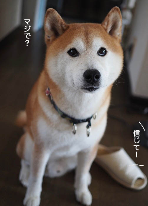 2日ブログ９