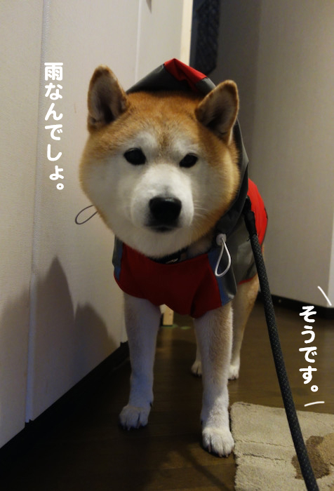 14日ブログ２