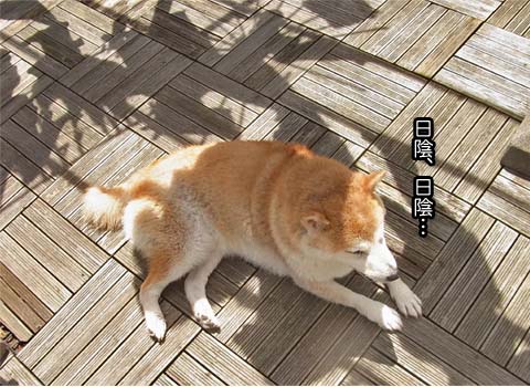 18日ブログ7.jpg