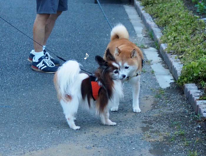10日夜ブログ４