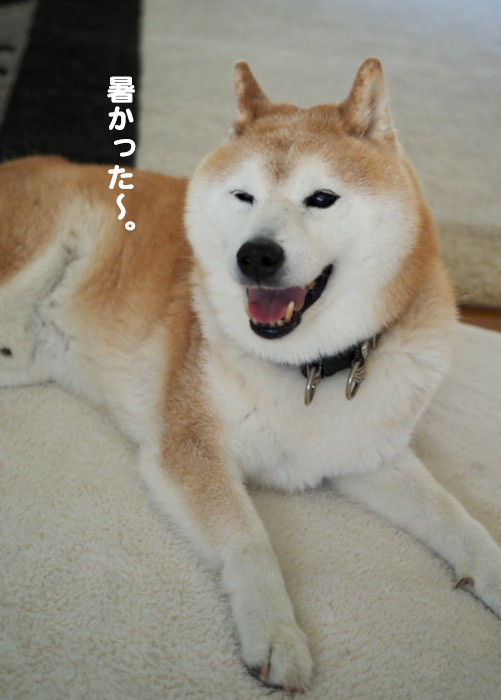 26日ブログ２