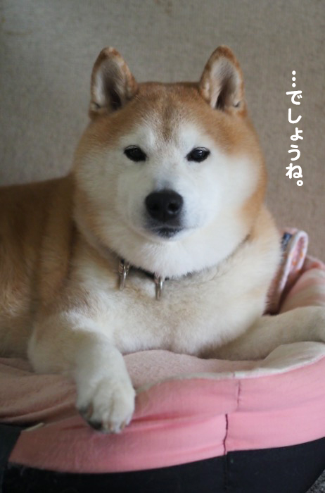 2日ブログ７