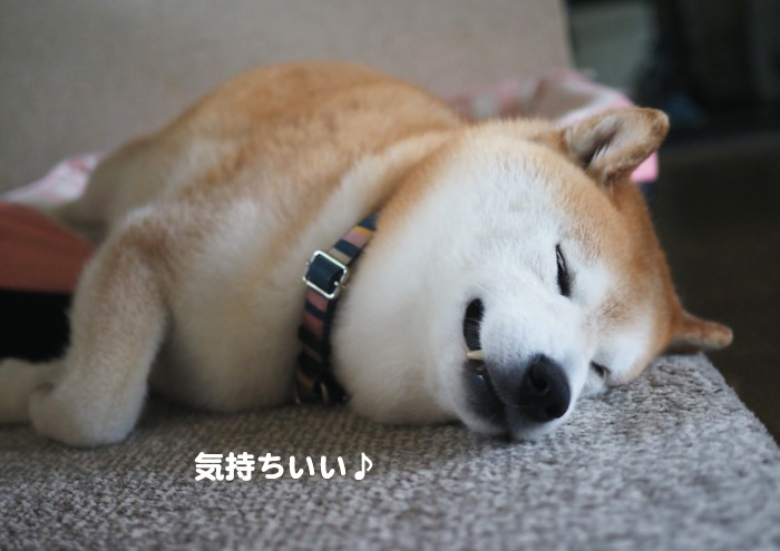 23日ブログ２