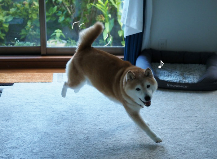 26日夕ブログ８