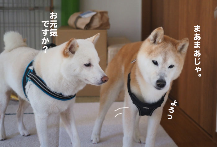 10日夕ブログ４
