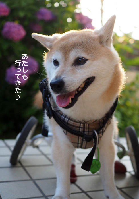 8日夜ブログ7