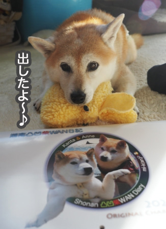 24日夜ブログ３
