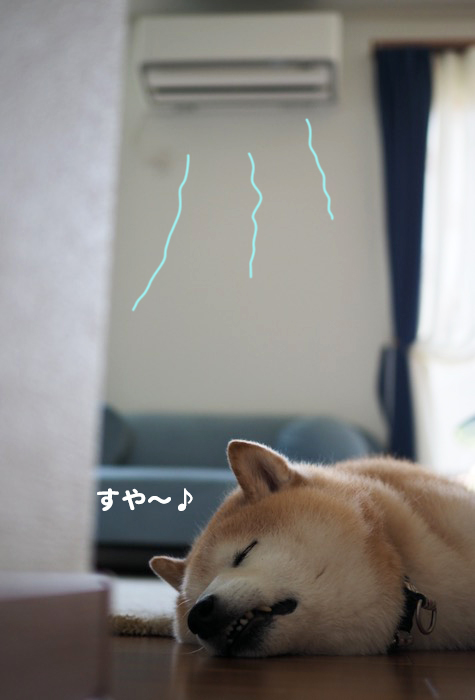 7日ブログ２