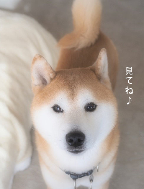 21日ブログ5