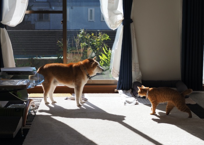 7日ブログ２
