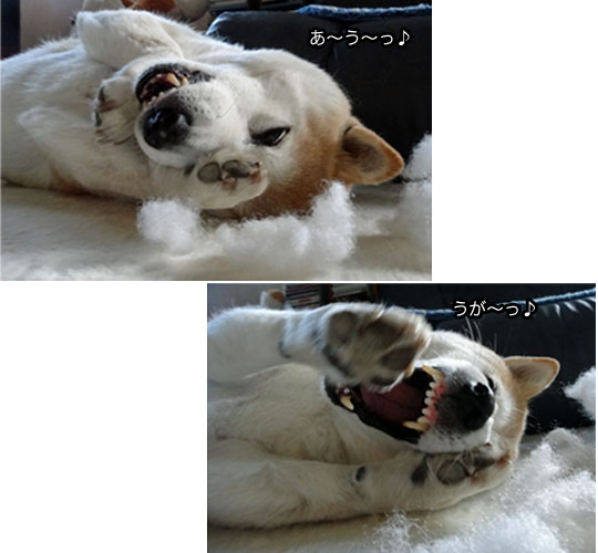 22日ブログ4.jpg