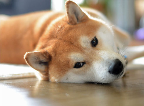 21日ブログ4.jpg