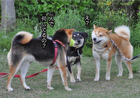 7日ブログ１１.jpg