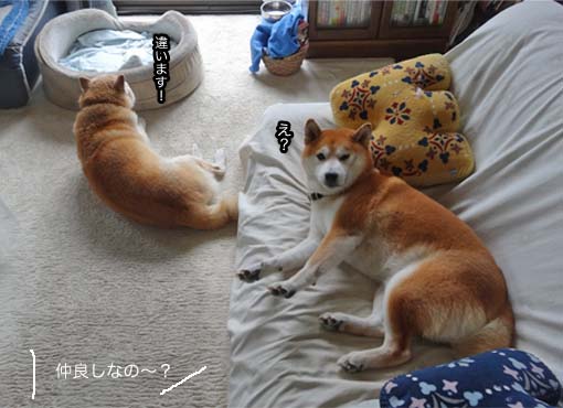25日ブログ2.jpg