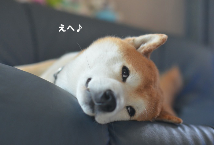 5日夕用８