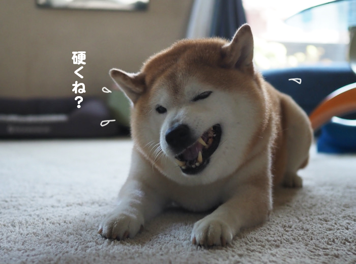 10日ブログ７