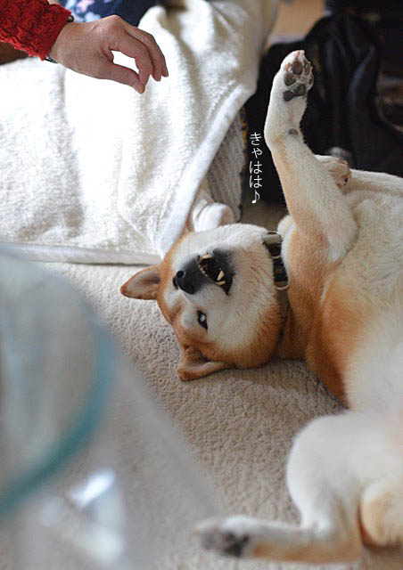 11日ブログ5
