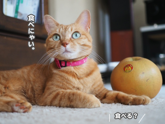 28日ブログ７
