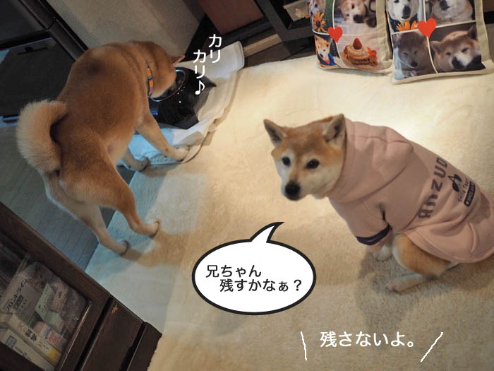 17日夜ブログ４