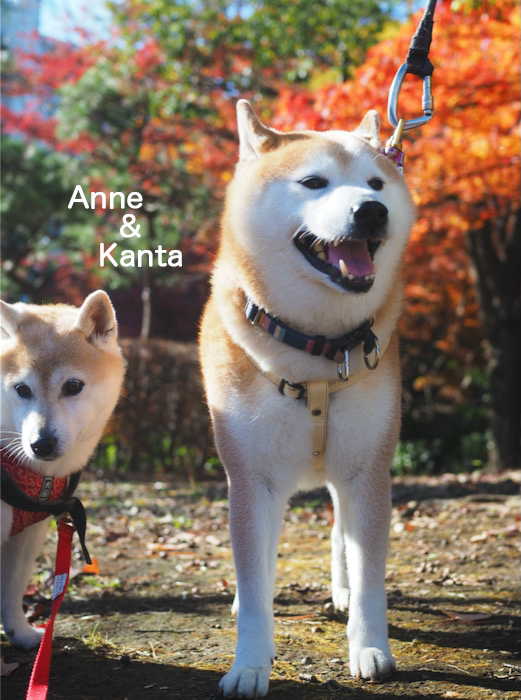 4日ブログ７